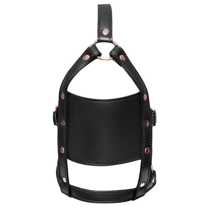 Hoved Harness Med Gag fra Bad Kitty