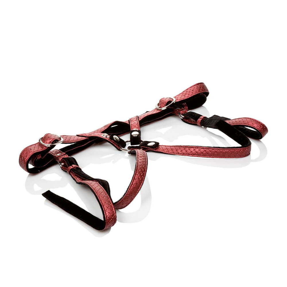 "the Regal Duchess" Harness Rød fra Calexotics
